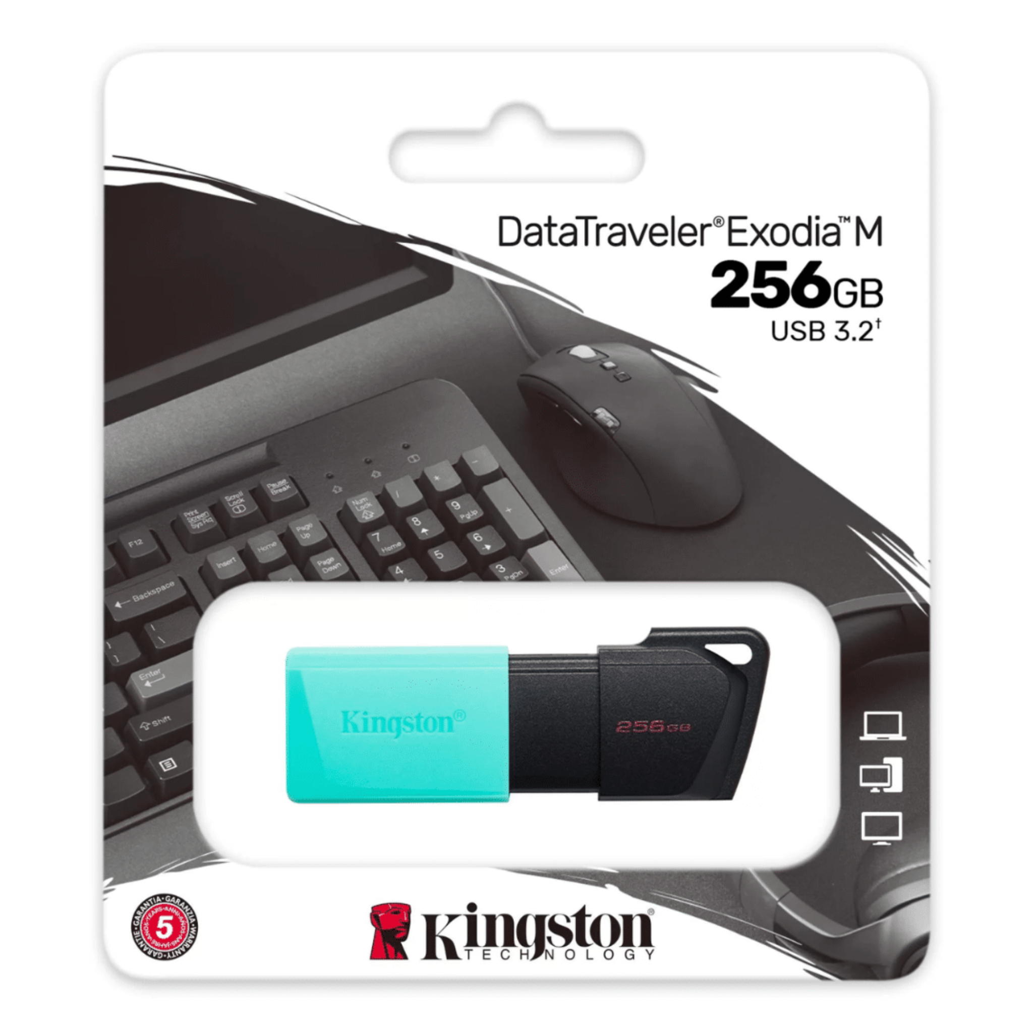 FLASH KINGSTON DTXM/256GB 3.2